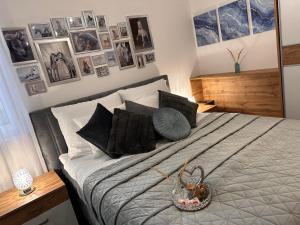 Csatangoló Lovas Apartman Silver