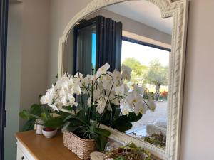 Maisons de vacances Olisios, beautiful farmhouse with private pool : photos des chambres