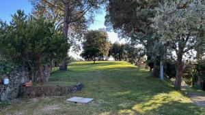 Historical Villa The Birdhouse - Garden & Views