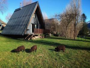 Chalets Le ChAlet N5 : photos des chambres