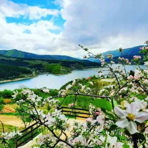 Vila Panorama - Pakleštica