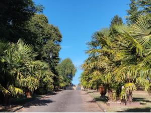 Appartements Gite non attenant a la propriete 1 a 4 personnes, spa, sauna, piscine chauffee a partager, parking gratuit : photos des chambres