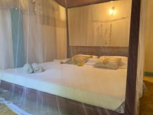 Dragon-Fly Home Hikka