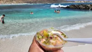 Turismo Totoralillo - Totoralillo