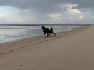 Maisons de vacances Maisonnette LE COTTAGE a 50m DE LA PLAGE d'Asnelles , 3km d'Arromanches, 10km de Bayeux : photos des chambres
