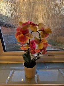 Pretty City Centre Cottage