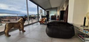 Appartements Villa sur le toit - Vue mer exceptionnelle : photos des chambres