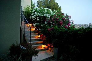 Villas La Villa Ulysse : photos des chambres