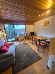 Les Brimbelles 27 studio au pied du télémix de Belle Étoile - 莱德萨阿尔卑斯