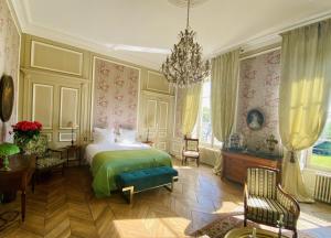 B&B / Chambres d'hotes Chateau de la Ferriere : photos des chambres