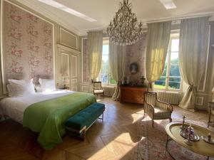 B&B / Chambres d'hotes Chateau de la Ferriere : photos des chambres