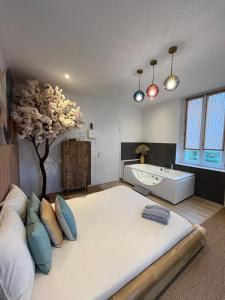 Appartements Le Nid d'Eliyah, suites avec jacuzzi 15min Disneyland Paris : photos des chambres