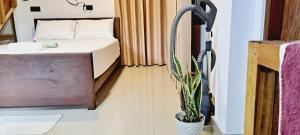 Migela Restaurant & Rooms