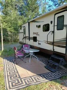 Tranquil Awareness and Happiness - Lecanto