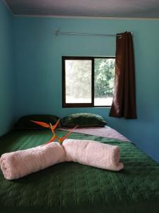 Paz y Flora Cabins - 4x4 or 4x2 Car Only