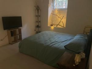 Ikigai Casa Vacanza Colosseo