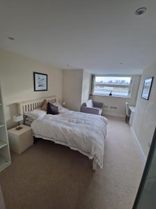 Double Room and Private Bathroom in shared Property