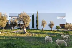 Villa Extramuros - Boa Vista