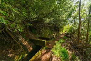 Oxford apartment Alpine escape villa