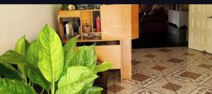 Pink Hibiscus Bed and Breakfast