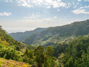 Oxford apartment Alpine escape villa