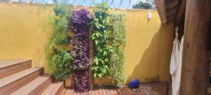 Casa em Búzios em frente a praia Rasa -com Ofurô e área gourmet Privativa