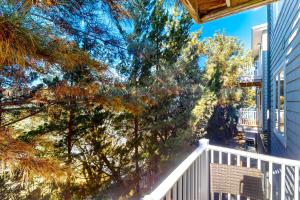 Dolphins Run 204 DSS