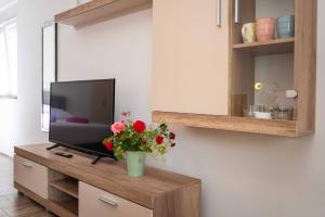 MY DALMATIA - Studio apartment Blagdan with private parking