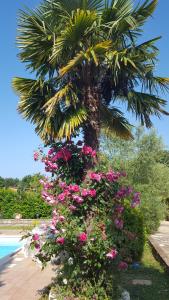 VILLA LUCIJA WITH POOL AND TENNIS COURT NEAR BEACh