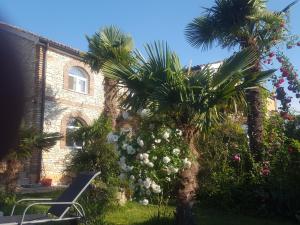 VILLA LUCIJA WITH POOL AND TENNIS COURT NEAR BEACh