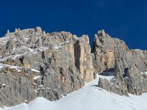 Chalet Tschattlhof Dolomites