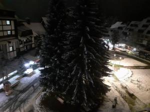 Apartmani Iva Kop Konaci Koznik402