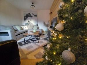 LE ZÈDÈL - Duplex 100m2 vue montagne, au cœur de la Savoie, au pied des stations de ski