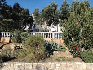 Apartment Anchi