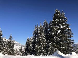 Appartements Residence Gollet - Le Gollet 68 - Studio divisible avec vue montagnes MAE-7461 : photos des chambres