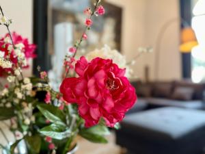 Superbe Villa - Cannes Centre -Proche Palais des Festivals et Plages