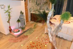 Appartements Jungle Spa - Cocon tropical et depaysant avec balneo en plein coeur de Pezenas ! : photos des chambres