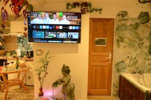 Appartements Jungle Spa - Cocon tropical et depaysant avec balneo en plein coeur de Pezenas ! : photos des chambres