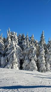 Berghütte, Chalet - Schwarzenberg am Böhmerwald