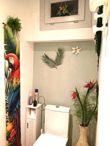 Appartements Jungle Spa - Cocon tropical et depaysant avec balneo en plein coeur de Pezenas ! : photos des chambres