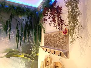 Appartements Jungle Spa - Cocon tropical et depaysant avec balneo en plein coeur de Pezenas ! : photos des chambres