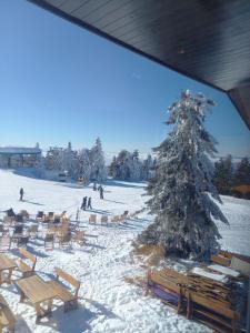 Apartman Čarolija, Sunčana planina