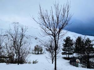 Appartements Residence Hauts De Peyragudes Mp - T3/8pers -HAUT DE PEYRAGUDES C10- Peyresourde MAE-7481 : photos des chambres