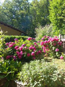 Chalet - Metato sulle Alpi Apuane