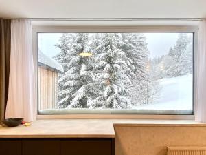 Rezidence ALPINA apartmán 27