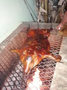 Chácara Manacás - 里奥克拉鲁