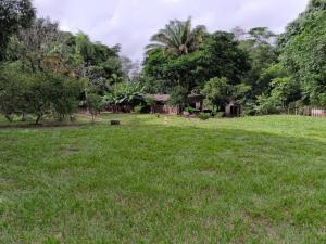 Quinta L&G