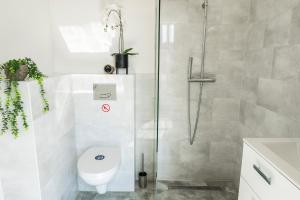 Spacious Suite w AC, City Center