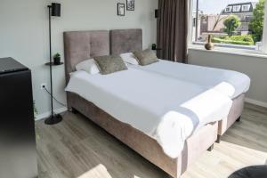 Spacious Suite w AC, City Center