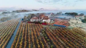 The Wine Country Villa - مارتينيز